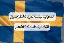 صورة العمل التطوعي في السويد: السويد تقدم فرصة تطوع ممولة بالكامل لمدة 6 أشهر