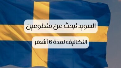 صورة العمل التطوعي في السويد: السويد تقدم فرصة تطوع ممولة بالكامل لمدة 6 أشهر
