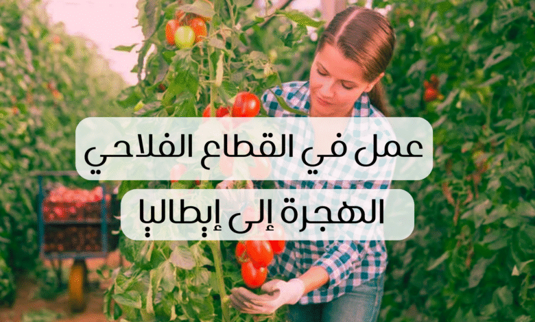 عقود العمل الموسمية في إيطاليا 2026