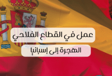 صورة عقود العمل الموسمي في إسبانيا 2026: الشروط والتسجيل خطوة بخطوة