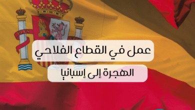 صورة عقود العمل الموسمي في إسبانيا 2026: الشروط والتسجيل خطوة بخطوة